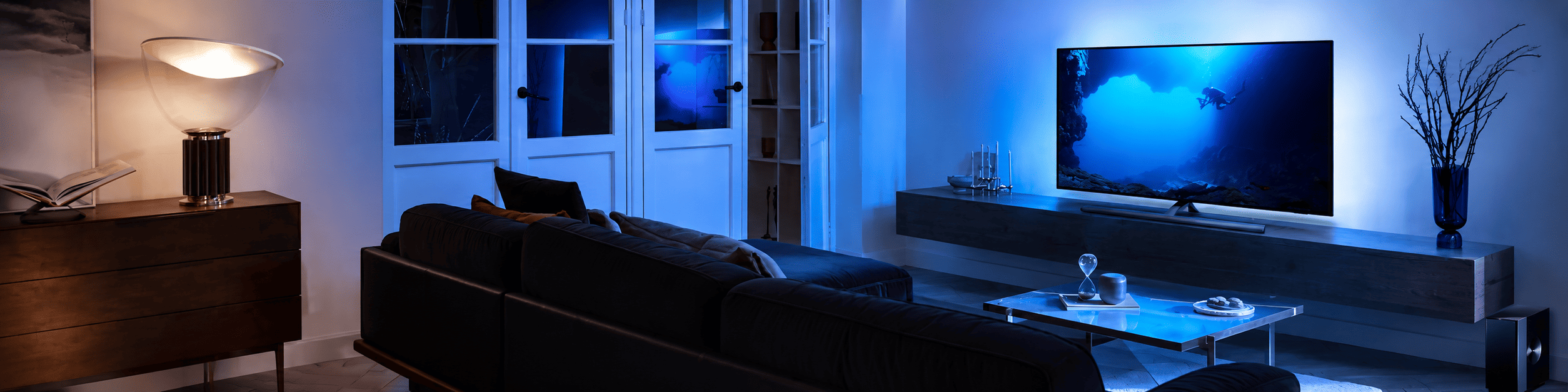 Banner Philips